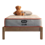 Bear Cub