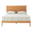 Egohome Dreamer Pro