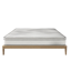FlexiSpot Plus Hybrid