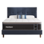 FlexiSpot Premier Hybrid