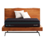 Malouf Peak CoolSync