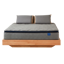 Newentor Hybrid Pro