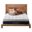 Novaform Advanced Back Support Plus