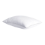 PlushBeds Cooling Shattered