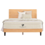 PlushBeds Savvy Bliss
