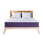 Polysleep The Origin