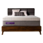 Purple Hybrid Premier 4
