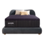 Purple Rejuvenate