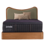 Purple RejuvenatePremier