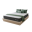 Sleepyhead First Edition