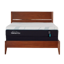 Tempur-Pedic Adapt 2.0