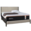 Tempur-Pedic ProAdapt