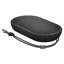 B&O BeoPlay P2