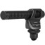 Canon DM-100