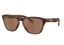 Oakley Frogskins S