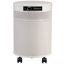 Airpura R600