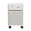 Austin Air HealthMate