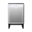 Coway Airmega 300