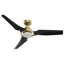 Hunter Eula