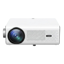 VANKYO Leisure 495W