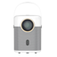 VANKYO Performance H300W