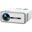 VIZONY DP04 Pro