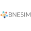 BNESIM