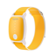 EmeTerm Explore for Kids