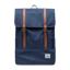 Herschel Survey
