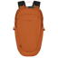 Pacsafe ECO 25L