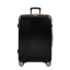 ROAM Check-In