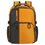Samsonite BIZ2GO