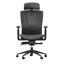 Autonomous ErgoChair Mesh
