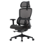 Eureka Ergonomic Lark 