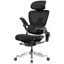 Hinomi H2 Pro