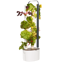 Gardyn Studio