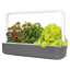 Click & Grow Smart Garden 9