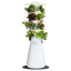 Lettuce Grow Farmstand Nook