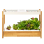 Click & Grow 25