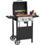 R. W. Flame 2-Burner 20000 BTU