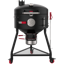 Spider The Huntsman