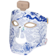 DGYAO Led Skin Mask