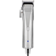 Silver Bullet Integrity