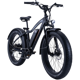 Rad Power RadRover 5