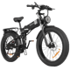 Ridstar DC26