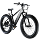 Lectric XPeak