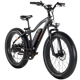 Rad Power RadRover 4