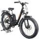 Rad Power RadRover 1
