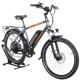 Rad Power RadCity
