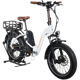 Rad Power RadMini 2